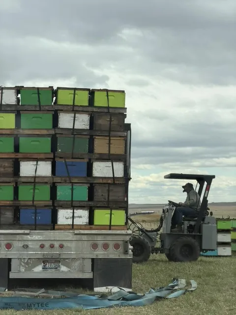 Stacked and strapped, ready to move